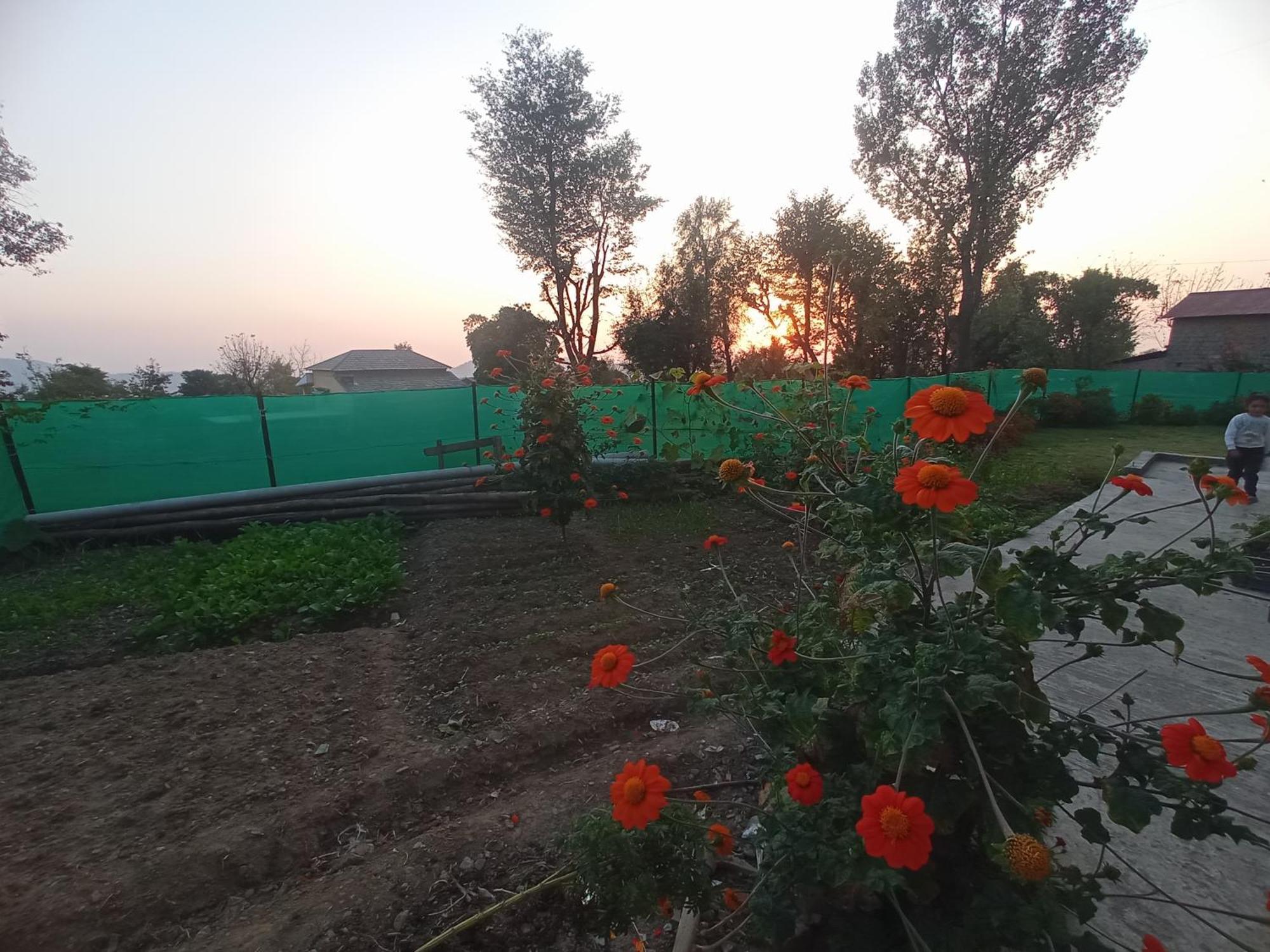 Travelodge Homestay Бір Екстер'єр фото